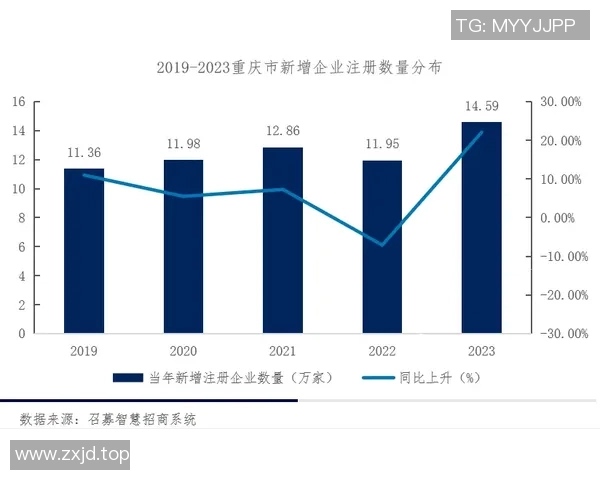 重庆滑板队战术表现深度分析与数据洞察探讨